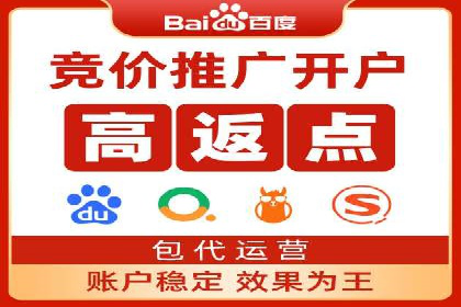 搜索引擎优化（SEO）在百度上的应用案例研究
